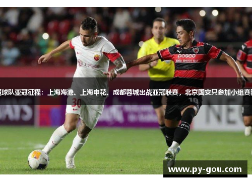 中超球队亚冠征程：上海海港、上海申花、成都蓉城出战亚冠联赛，北京国安只参加小组赛阶段
